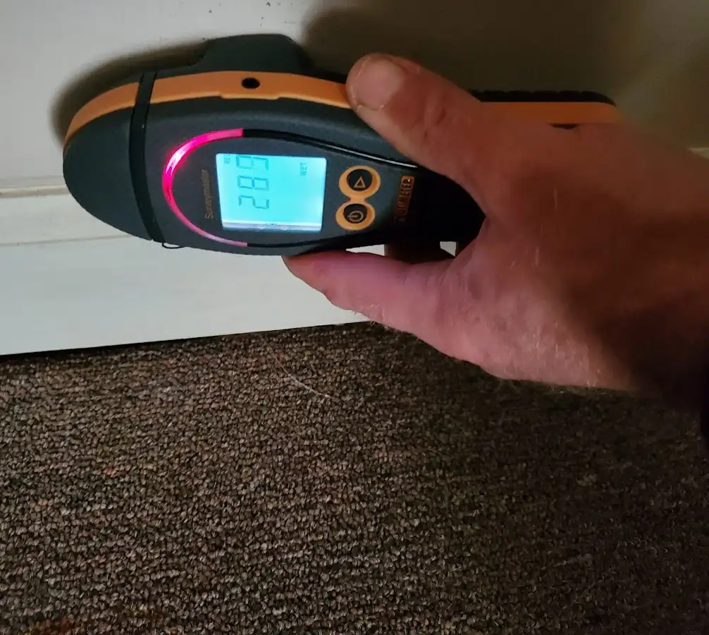 Moisture detection at baseboard during Mold Inspection & Testing in Oak Grove